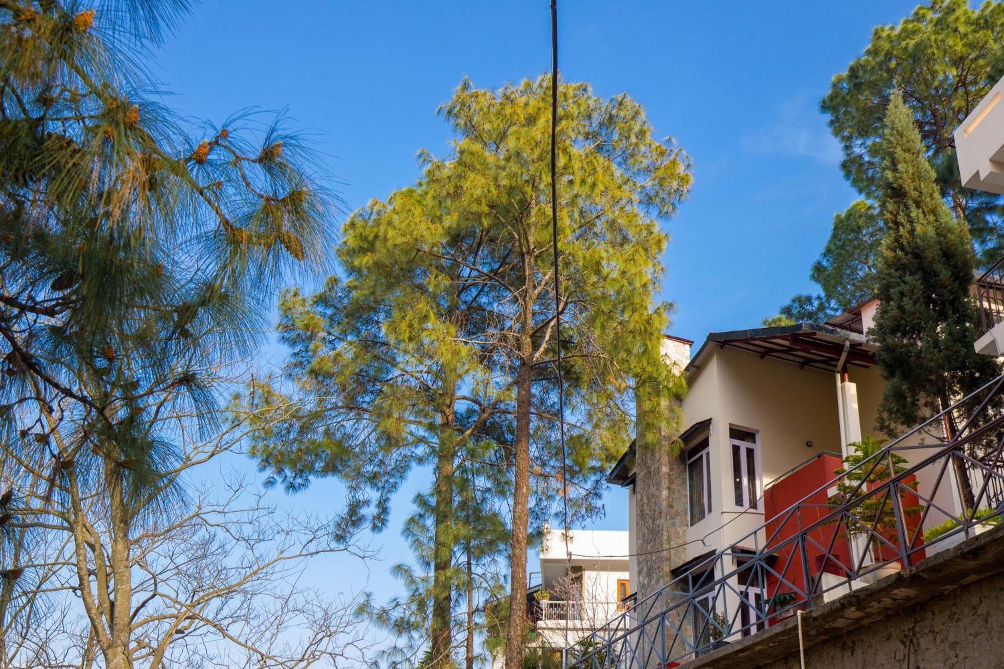 Alaya Stays Mehar Villa - 3 Bhk With Garden & Scenic Views Kasauli Kültér fotó